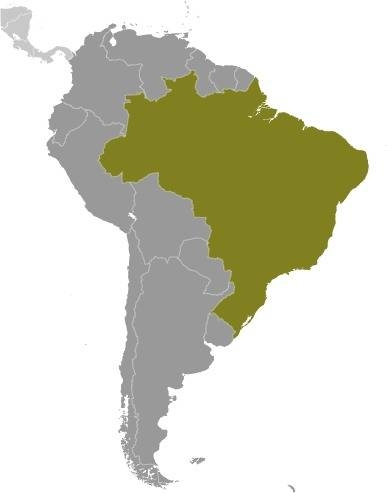 UK Spouse Visa Brazilian and British São Paulo , Rio de Janeiro , Salvador , Brasília , Fortaleza , Belo Horizonte , Manaus , Curitiba , Recife , Goiânia