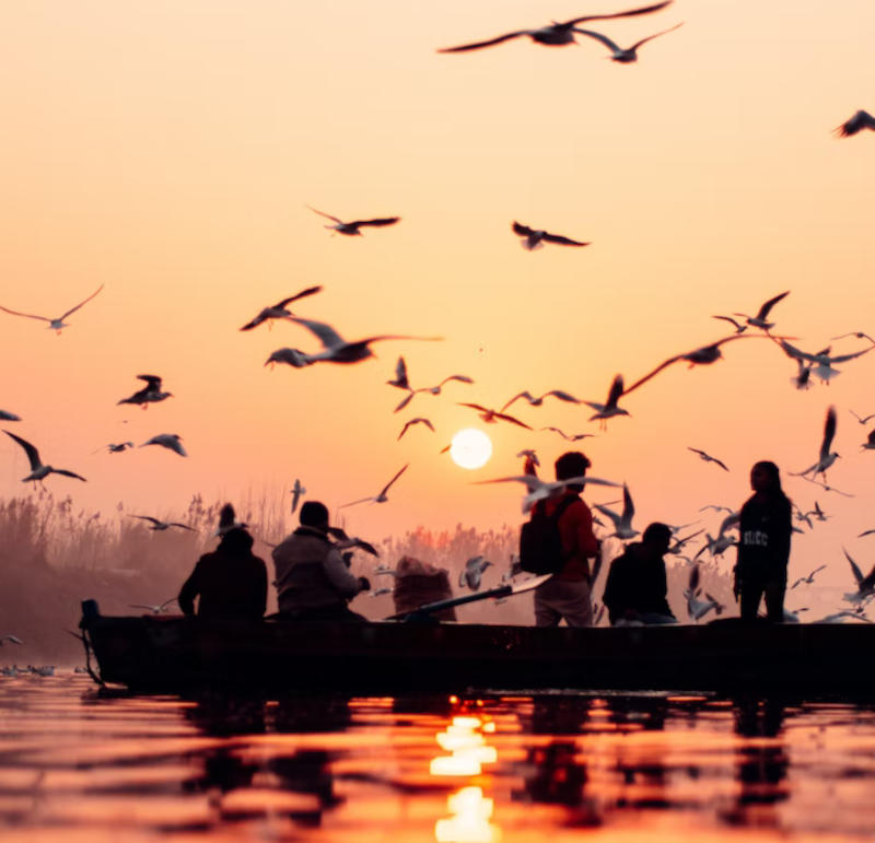 UK Spouse Visa British and Indian Mumbai , Delhi , Bangalore , Kolkata , Chennai , Hyderabad , Ahmedabad , Pune , Surat , Jaipur