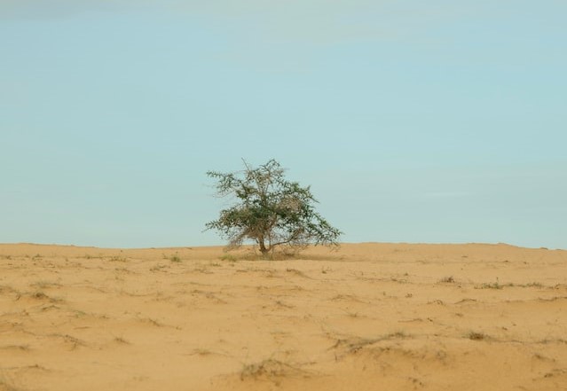 UK Spouse Visa British and Senegalese Dakar , Thiès , Kaolack , Ziguinchor , Touba , Rufisque , Saint-Louis , Mbour , Diourbel , Louga